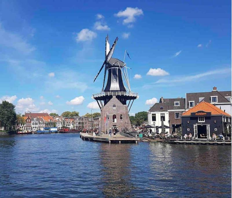Appartement Met Tuin In Haarlem Centrum Zewnętrze zdjęcie